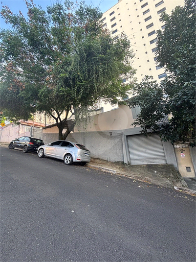 Foto REO1096533