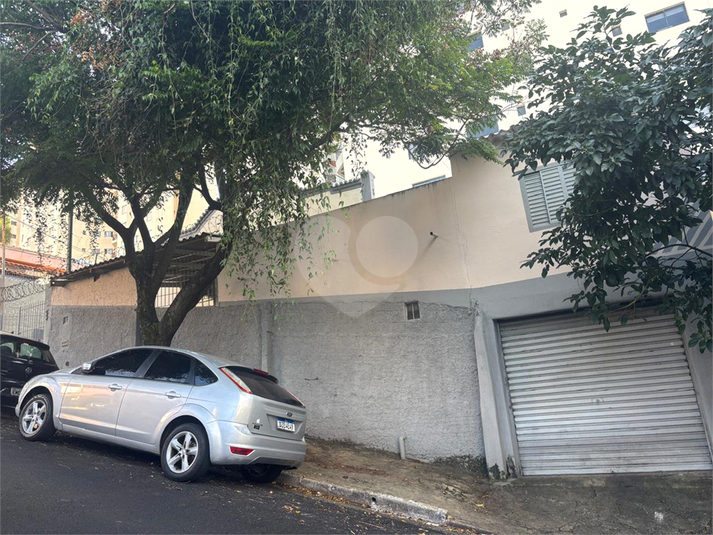 Foto REO1096533