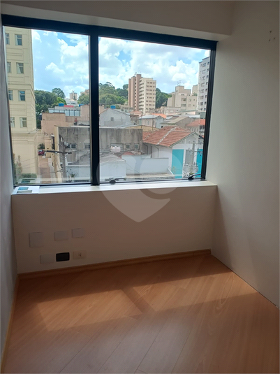 Foto REO1096535
