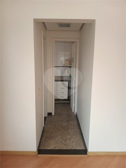 Foto REO1096535