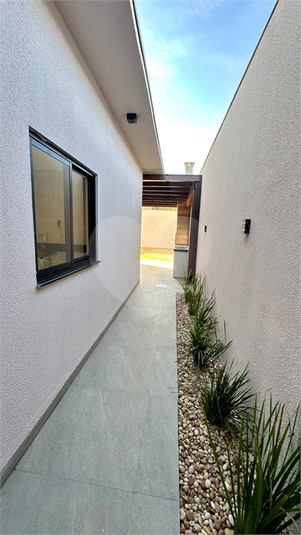 Foto REO1096539