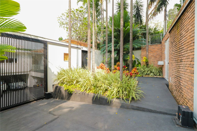 Foto REO1096540