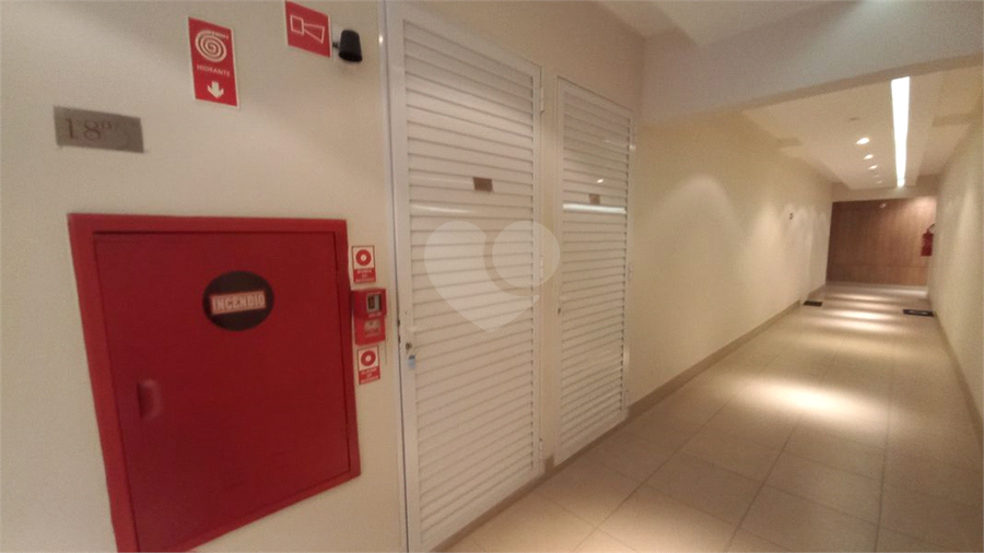 Foto REO1096541