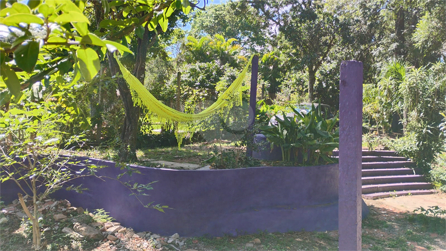Foto REO1096544