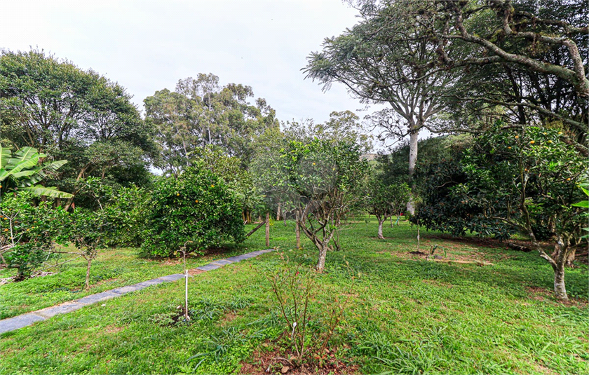 Foto REO1096544