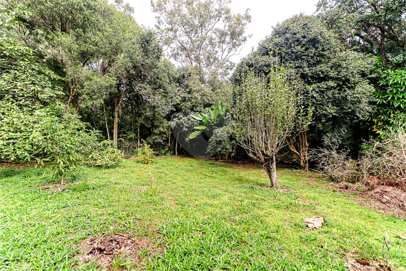 Foto REO1096544