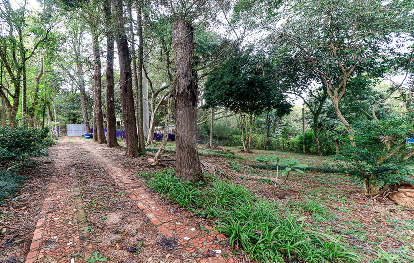 Foto REO1096544