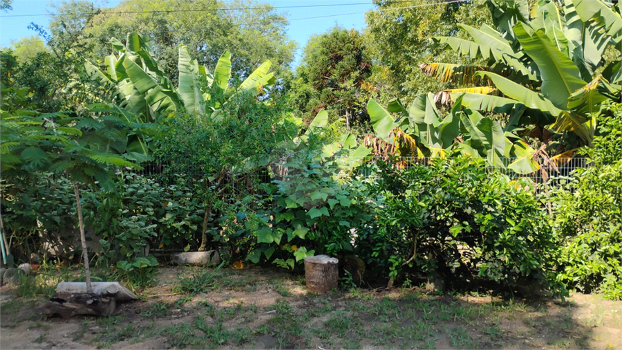Foto REO1096544