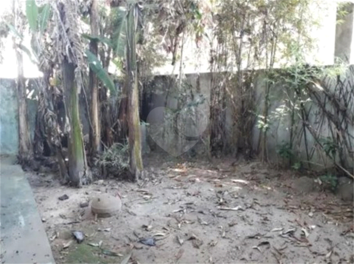 Foto REO1096553