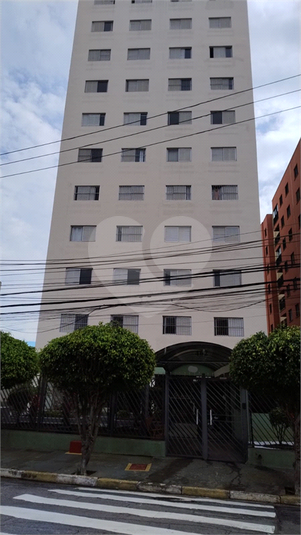 Foto REO1096561