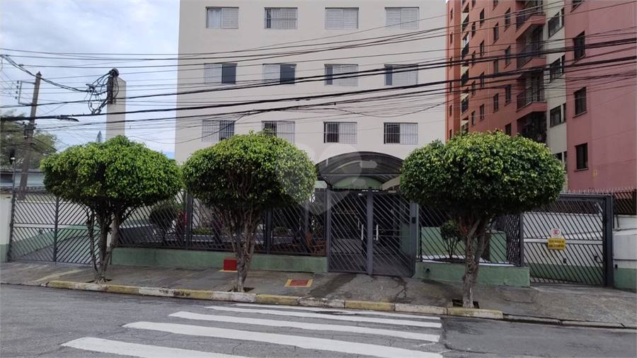 Foto REO1096561