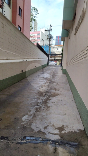 Foto REO1096561
