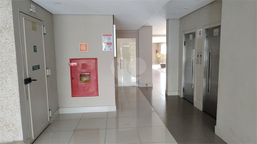 Foto REO1096561