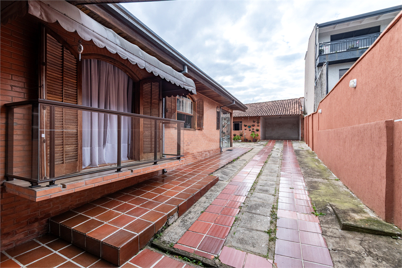 Foto REO1096567