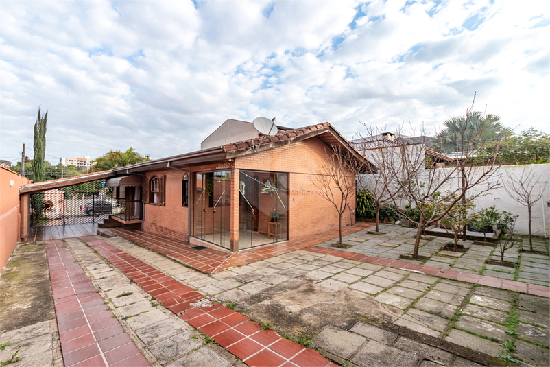 Foto REO1096567