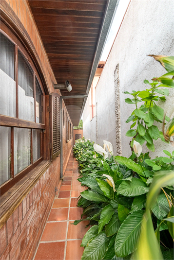 Foto REO1096567
