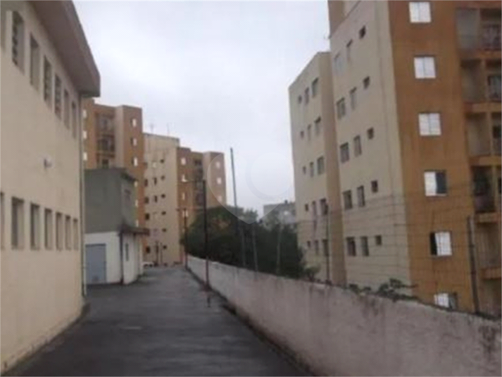 Foto REO1096576