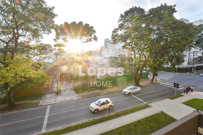 Foto REO1096582