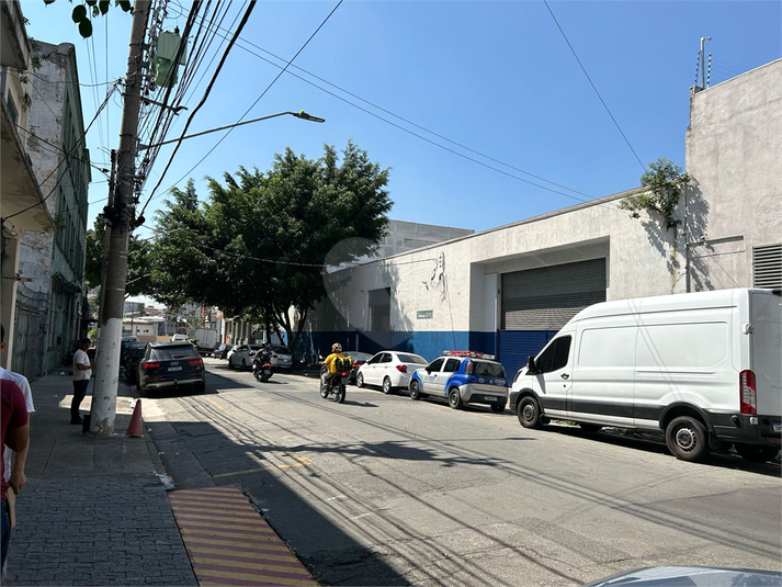 Foto REO1096584