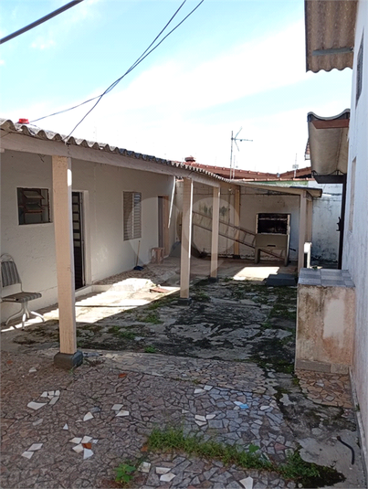Foto REO1096585