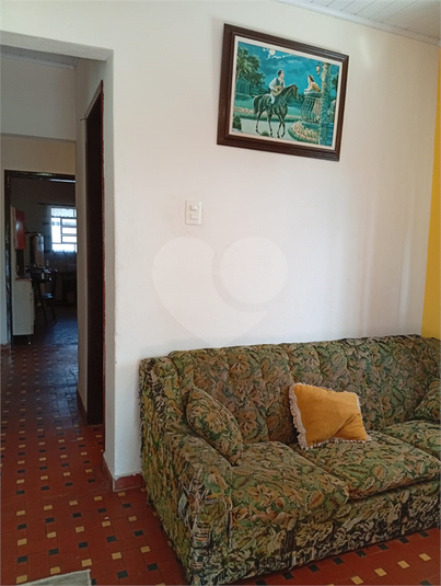 Foto REO1096585