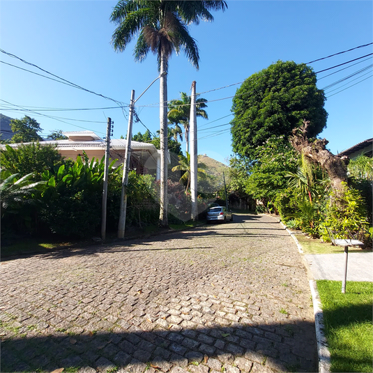 Foto REO1096595