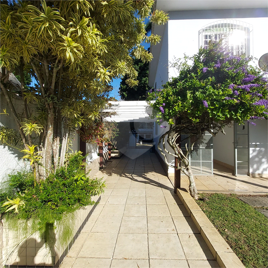 Foto REO1096595