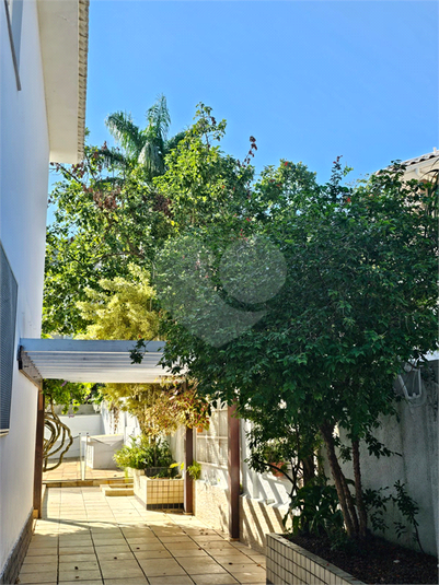 Foto REO1096595