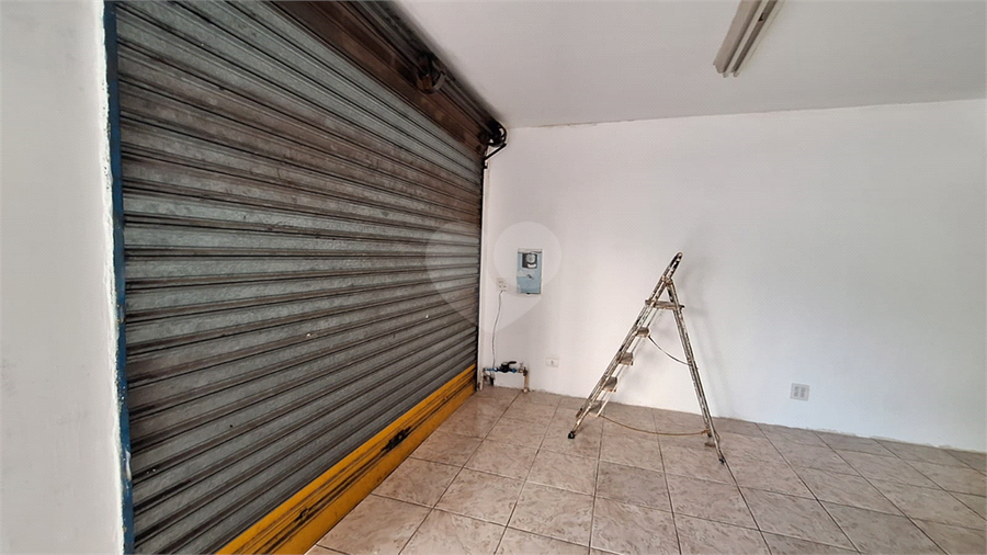 Foto REO1096598
