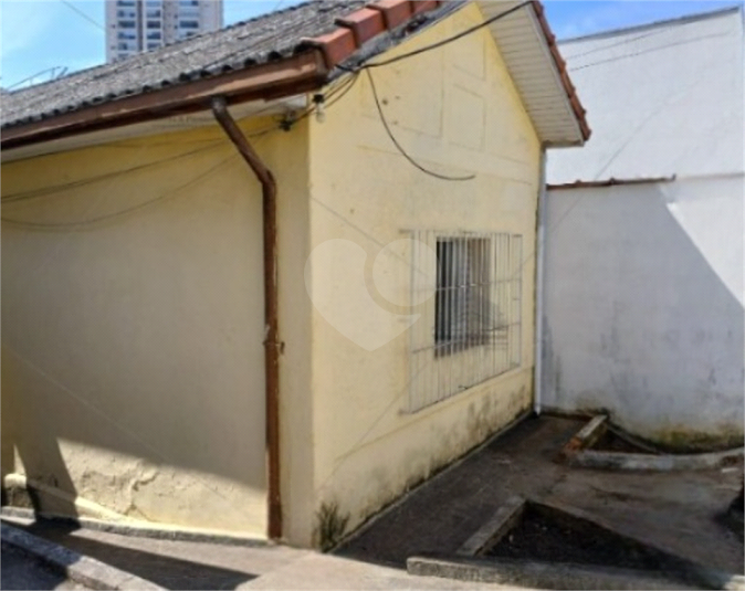 Foto REO1096599