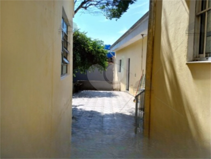 Foto REO1096599