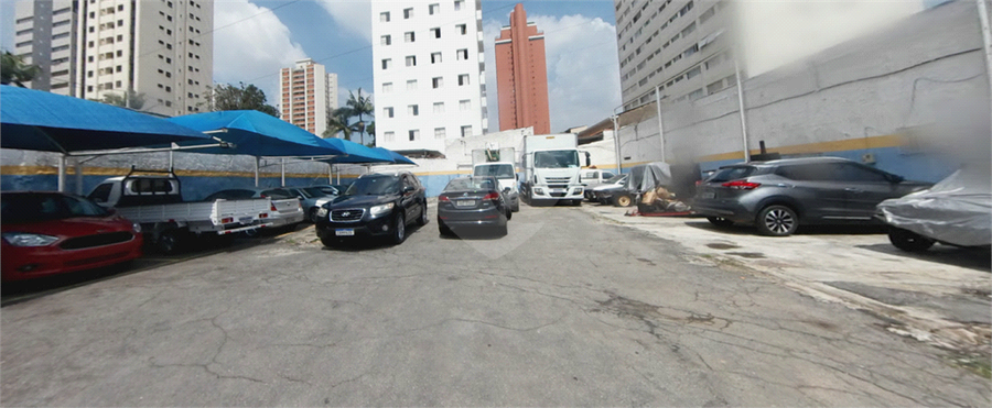 Foto REO1096603
