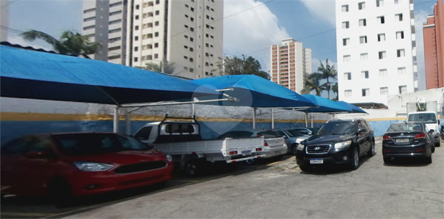 Foto REO1096603