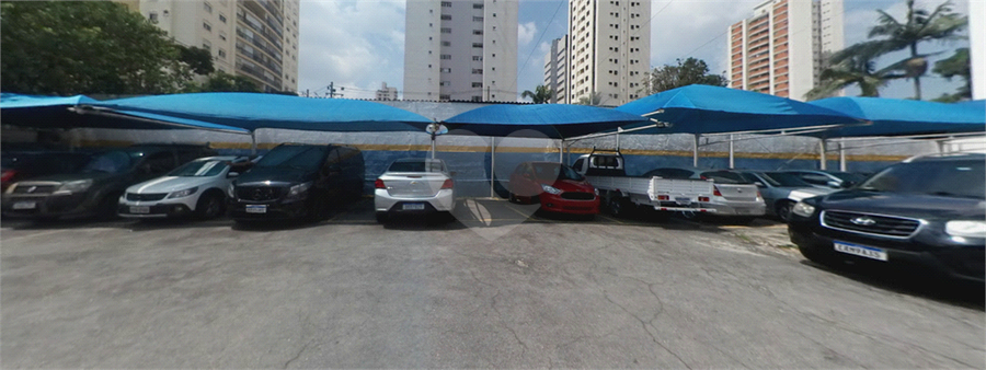 Foto REO1096603