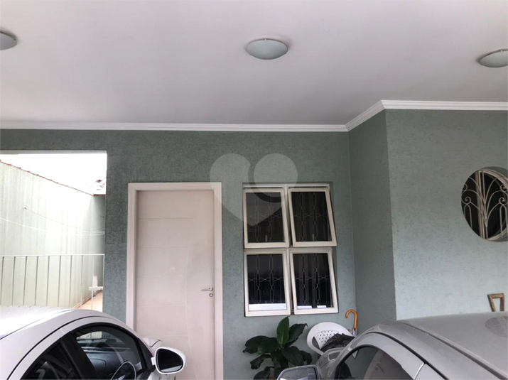 Foto REO1096614
