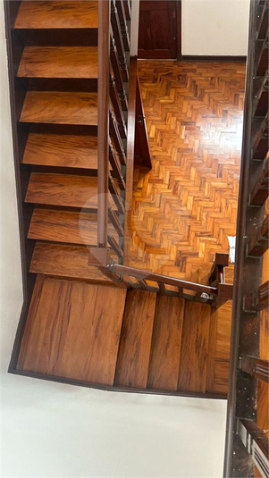 Foto REO1096619