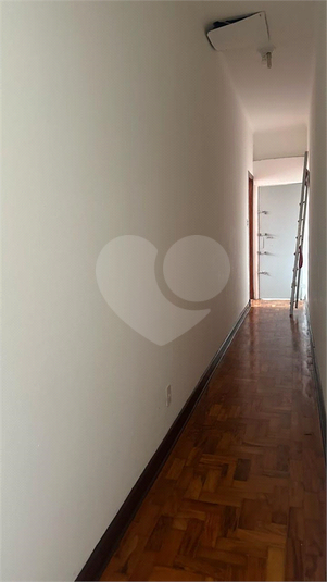 Foto REO1096619