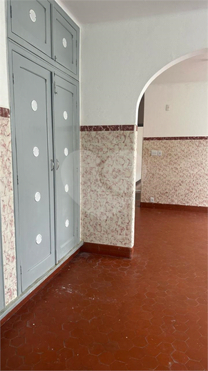 Foto REO1096619
