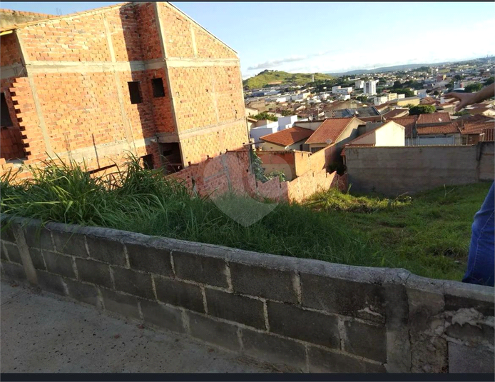 Foto REO1096620