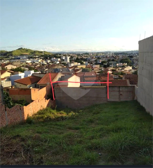 Foto REO1096620