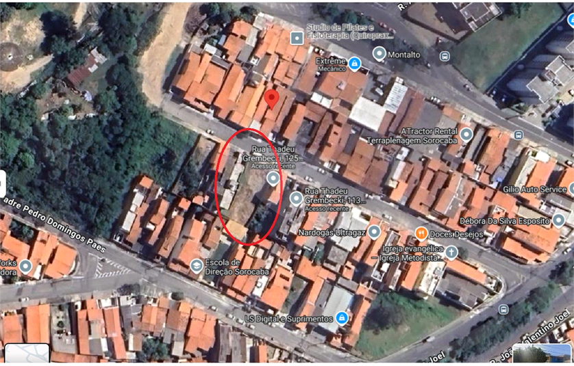 Foto REO1096620