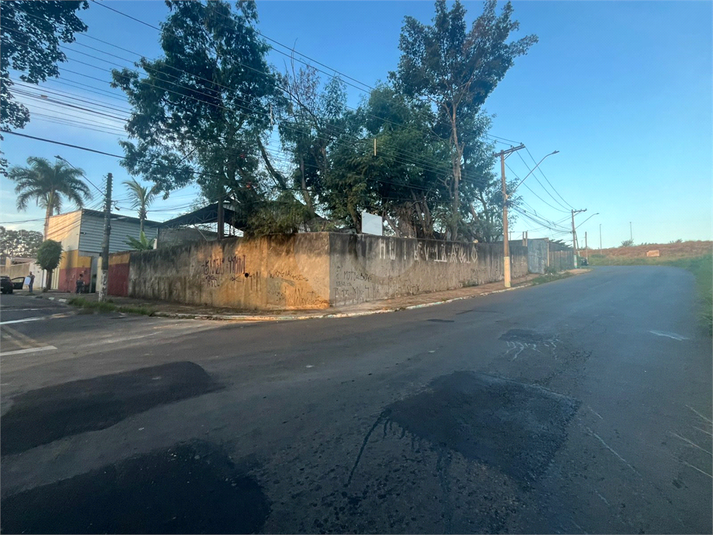 Foto REO1096622