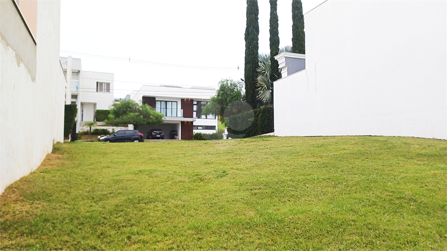 Foto REO1096623
