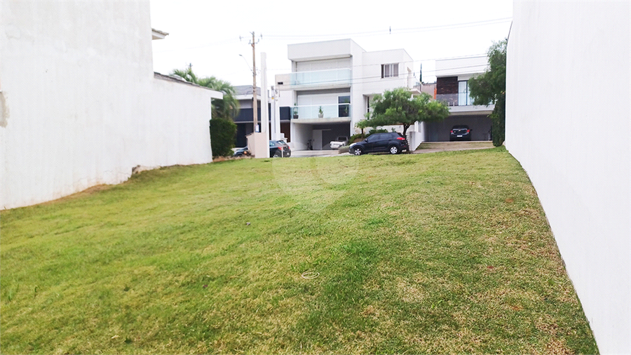 Foto REO1096623