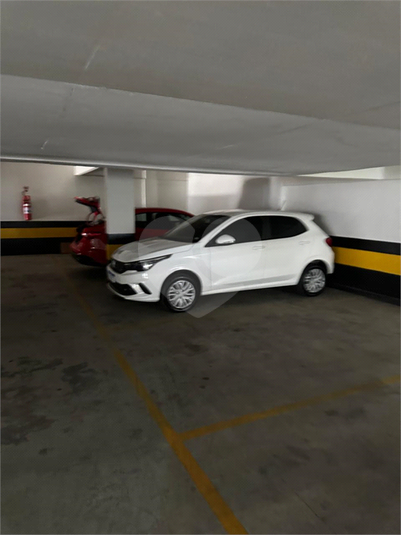 Foto REO1096624