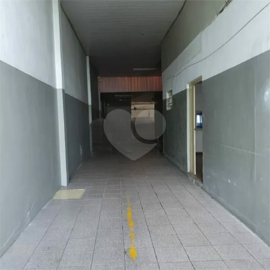 Foto REO1096637