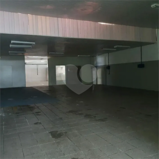 Foto REO1096637