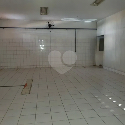 Foto REO1096637