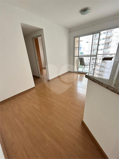 Foto REO1096647