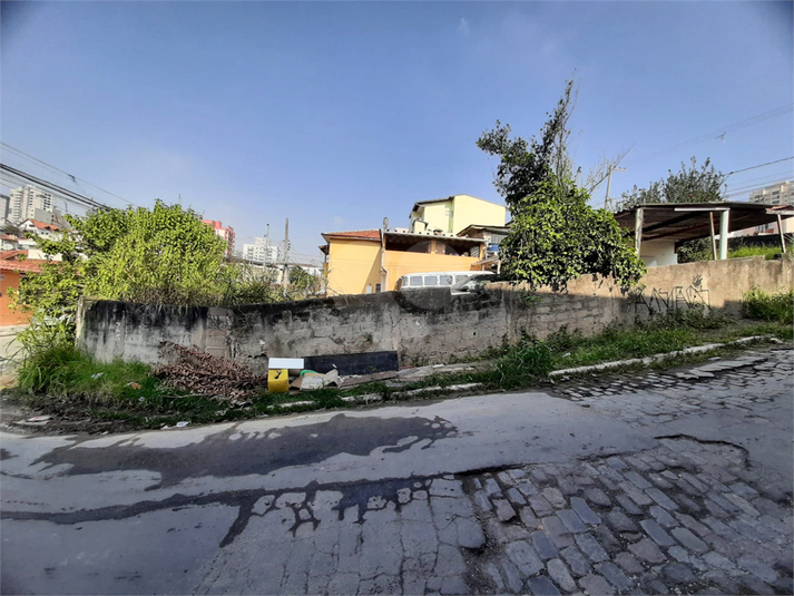Foto REO1096651